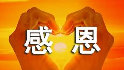 我最感激的人作文(精选23篇)
