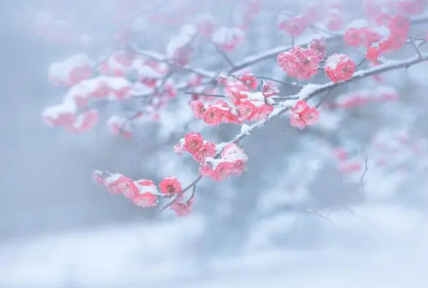 遇见你,时光很美(美文)