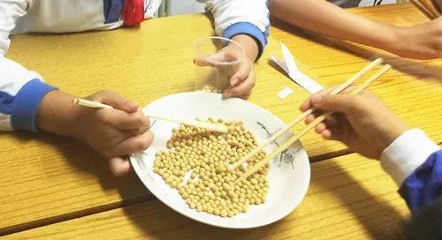四年级作文|夹豆子