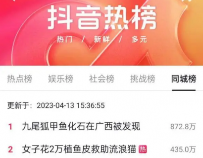 冲上热搜!女子为救助被剥皮的流浪猫,花2万给猫植鱼皮