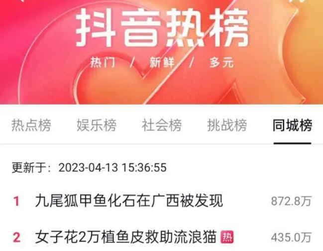 冲上热搜!女子为救助被剥皮的流浪猫,花2万给猫植鱼皮