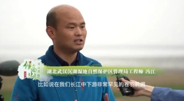 大美中国 候鸟北归丨记者探秘“候鸟天堂”沉湖湿地里的“黑科技”
