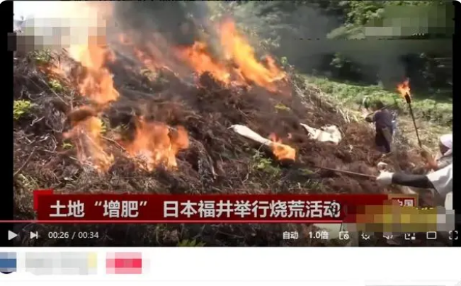 日本烧荒为土地增肥,还特意加大火势,网友:央视你有脸报道?